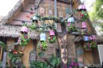 Disneyland-Tiki-Room-6