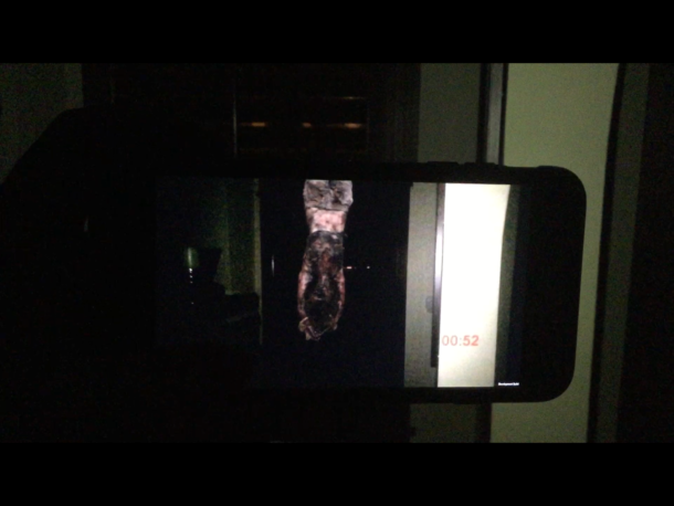 , Night Terrors: Bloody Mary – Haunted House in Your Pocket