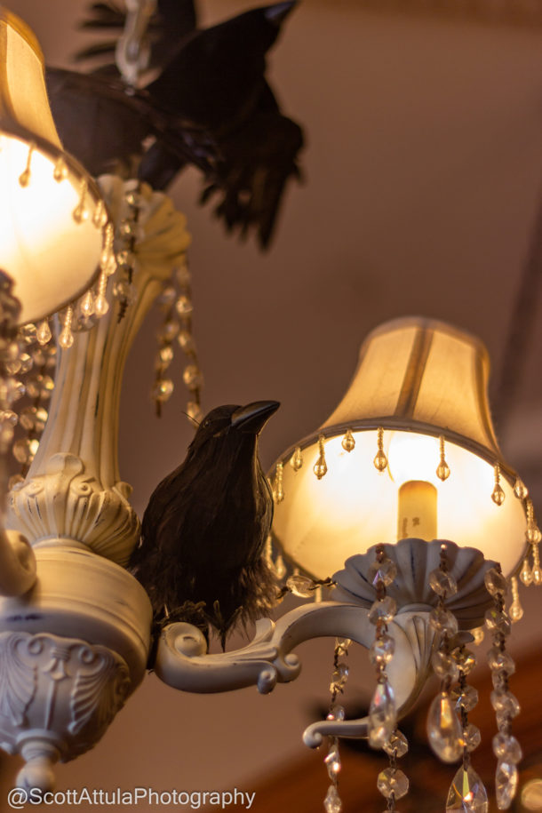 , Disneyland Update: It’s An Early Christmas After All