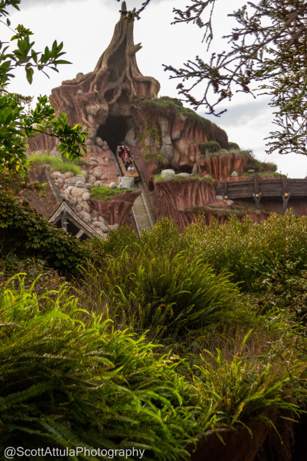 , Disneyland Update: It’s An Early Christmas After All