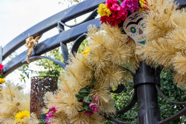 , Disneyland Update: It’s An Early Christmas After All