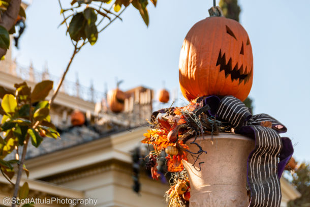 , Disneyland Update &#8211; Few Tricks, Many Treats