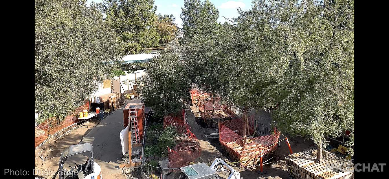 , Disneyland Update – The Busy Season Brings New Ambassadors, Shopping and Dining