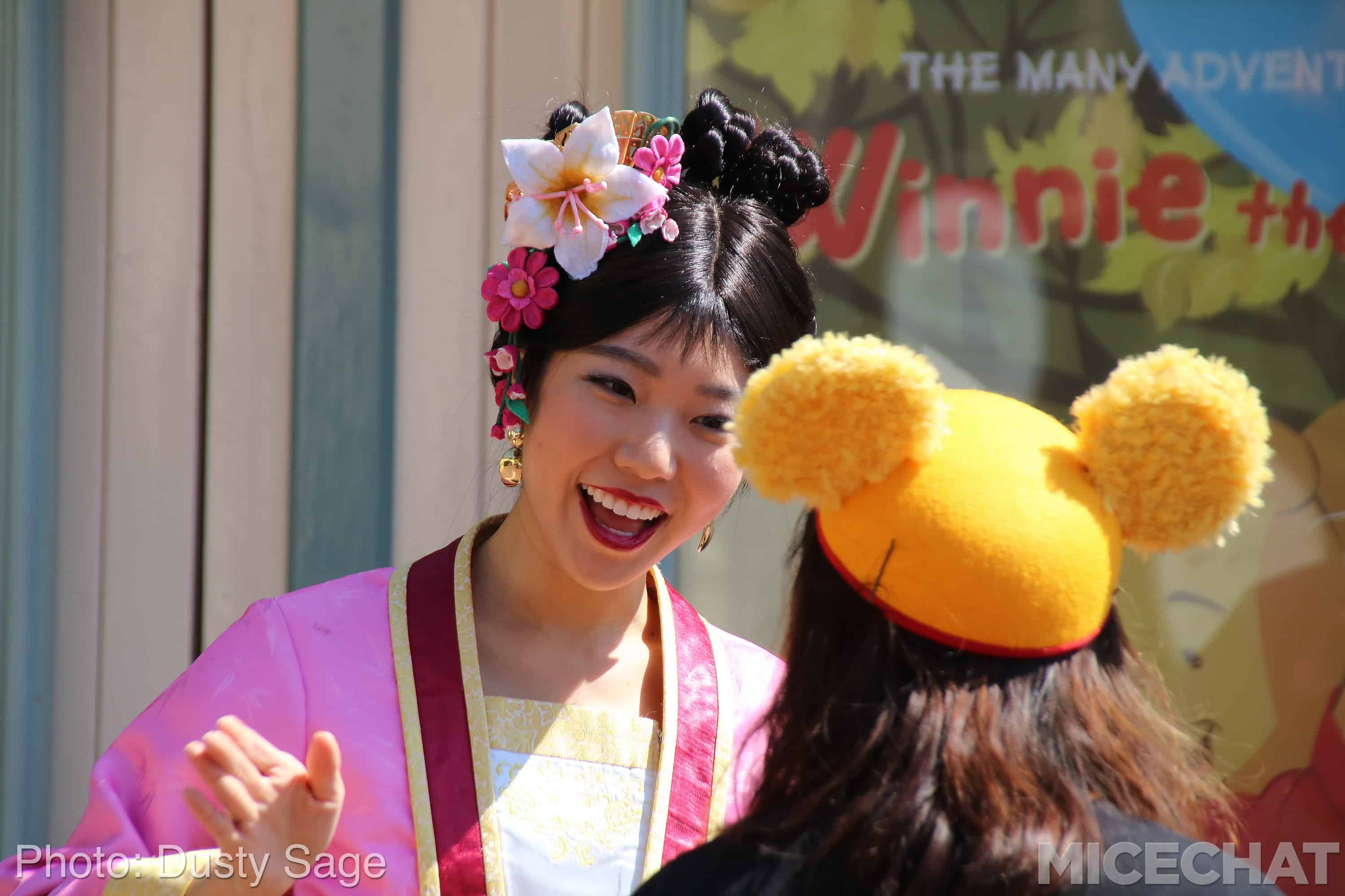 , Disneyland Photo Updates: Fall Into Construction Walls