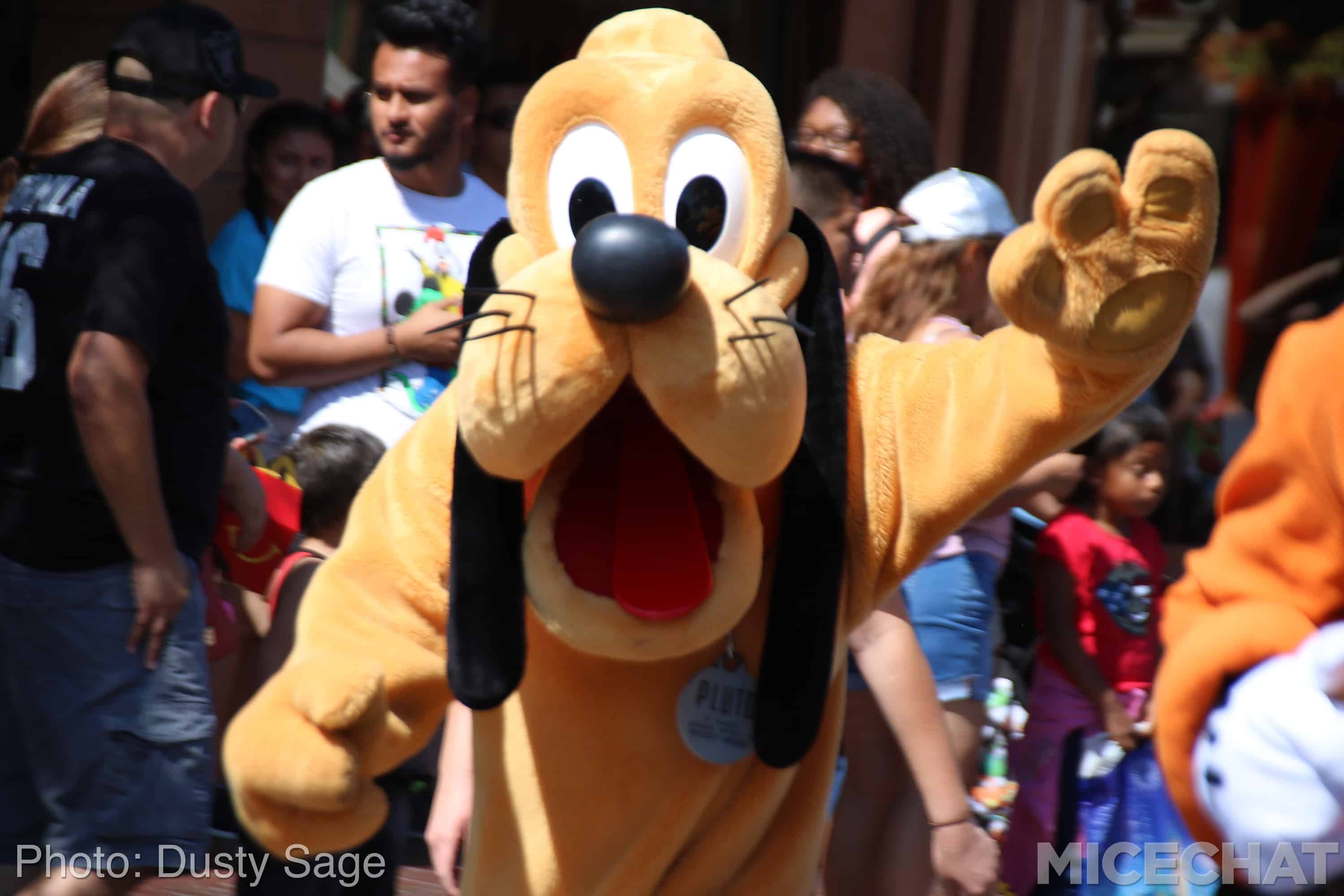, Disneyland Photo Updates: Fall Into Construction Walls