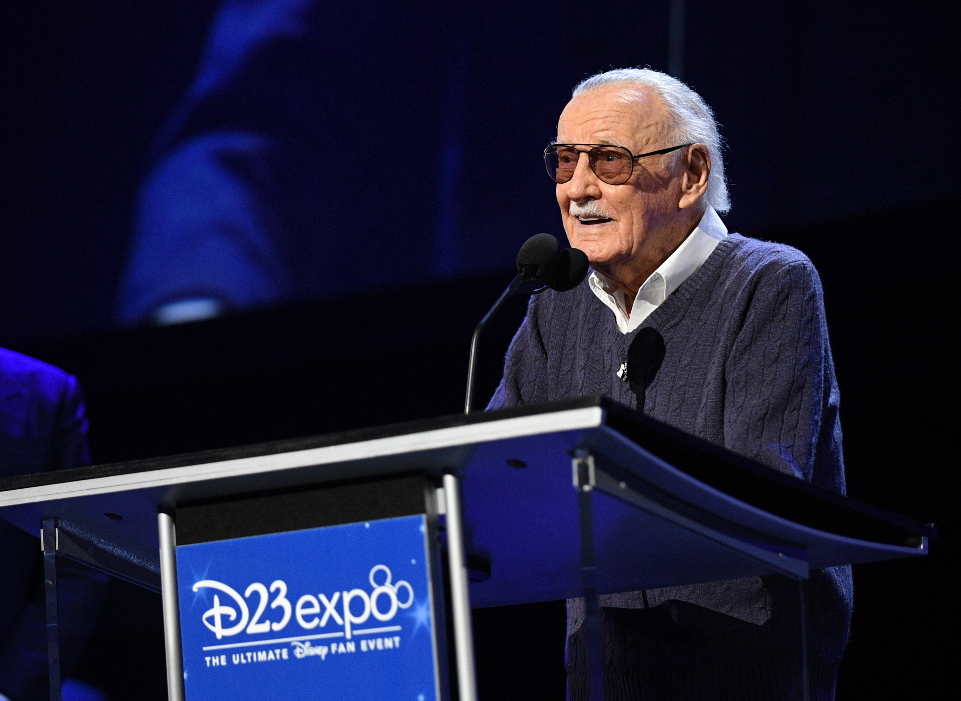 , Excelsior – Remembering Stan Lee