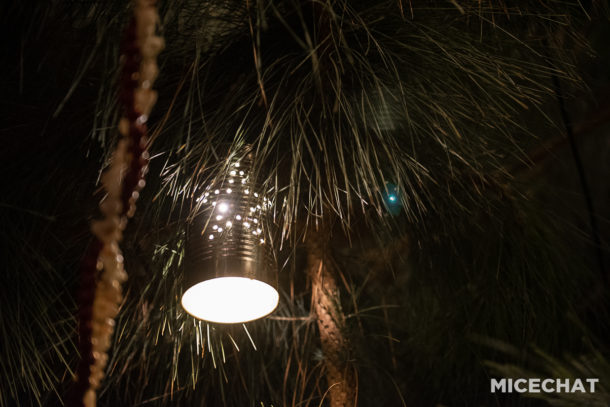 , Disneyland Resort Update: Return of the Holiday Crush