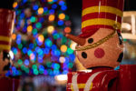 DSC00934-Edit