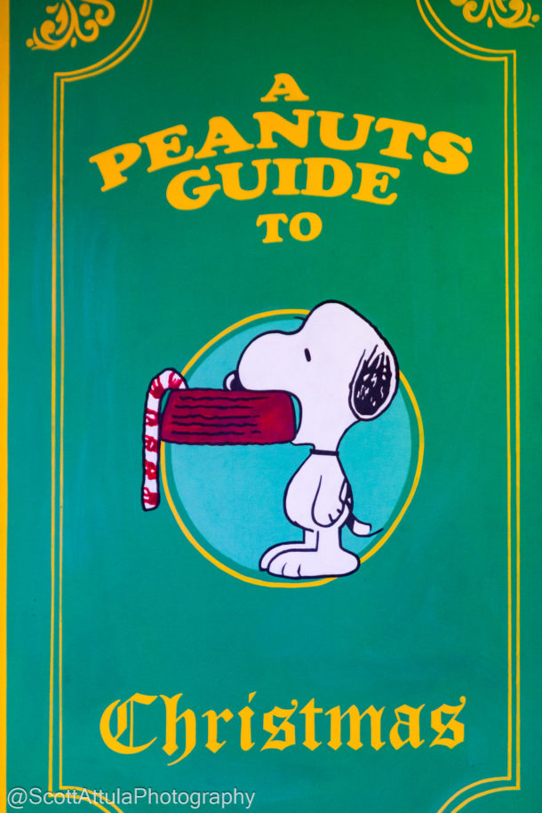 , A Knott’s Merry Farm Very Berry Christmas