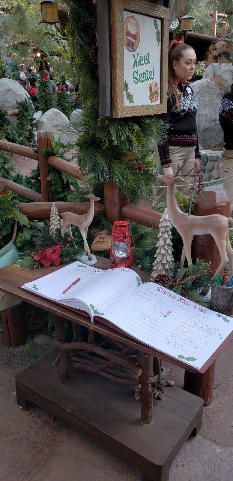 , Disneyland Resort Update: Return of the Holiday Crush