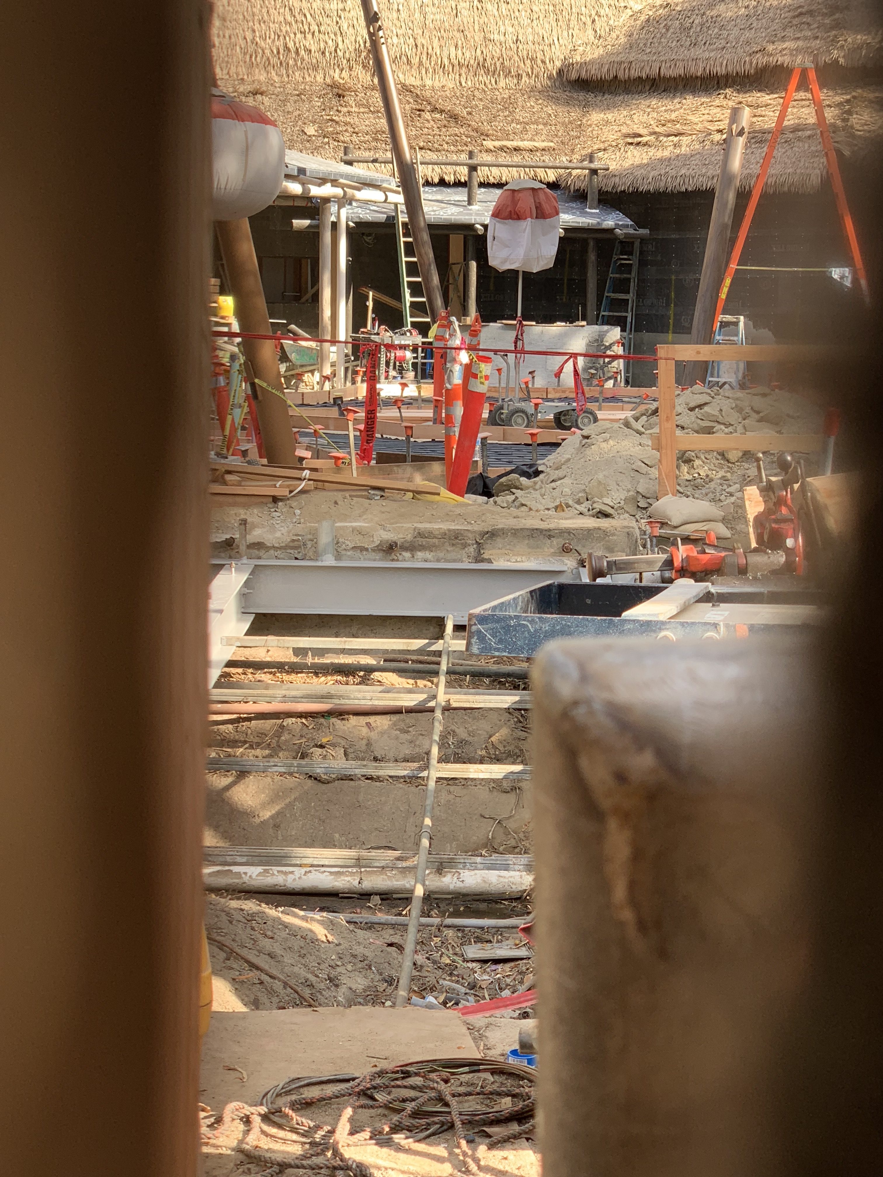 , Disneyland Resort Update: Christmas and Projects About to Unwrap