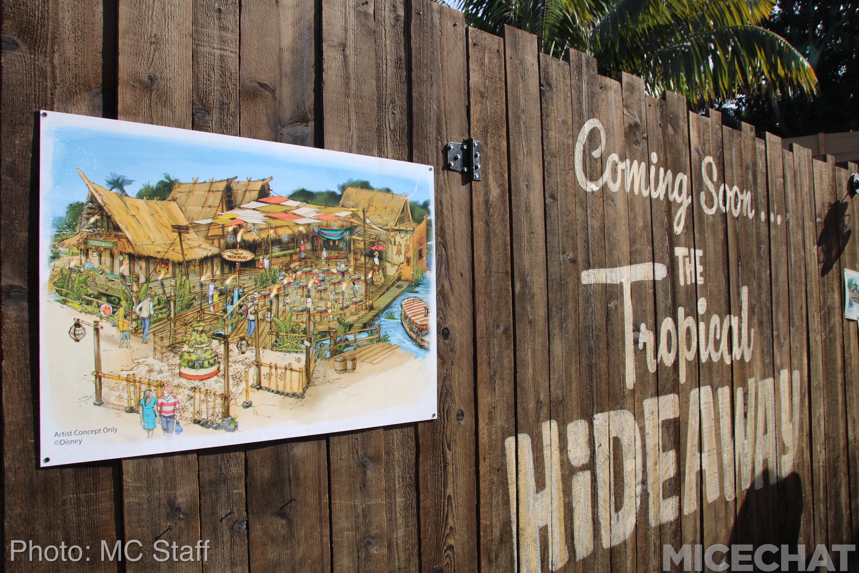 , Disneyland Resort Update: Christmas and Projects About to Unwrap