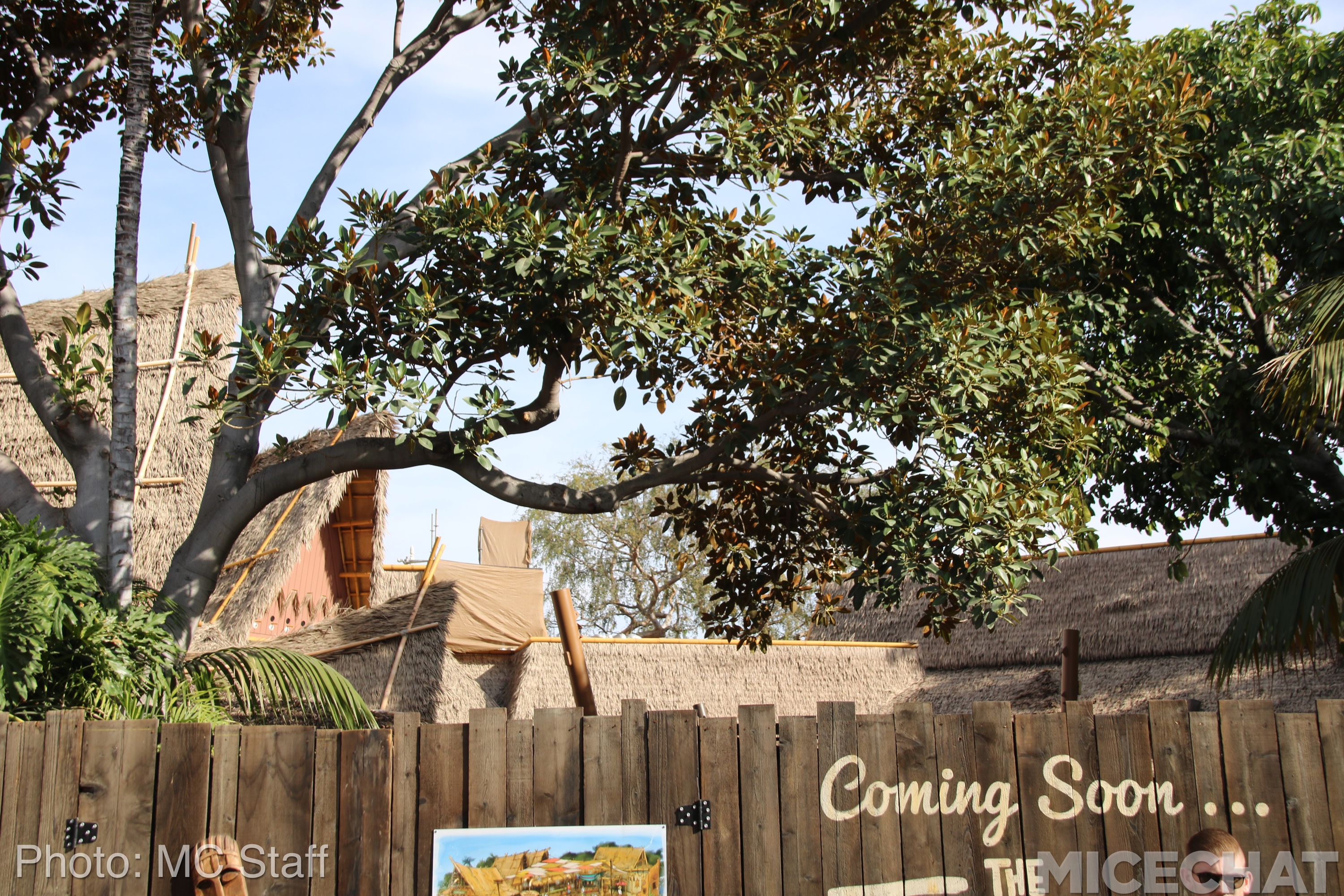 , Disneyland Resort Update: Christmas and Projects About to Unwrap