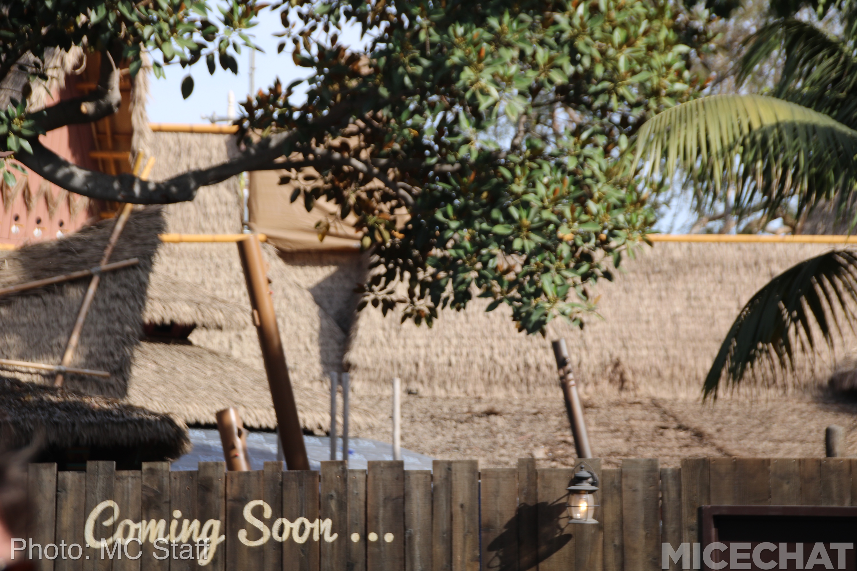 , Disneyland Resort Update: Christmas and Projects About to Unwrap