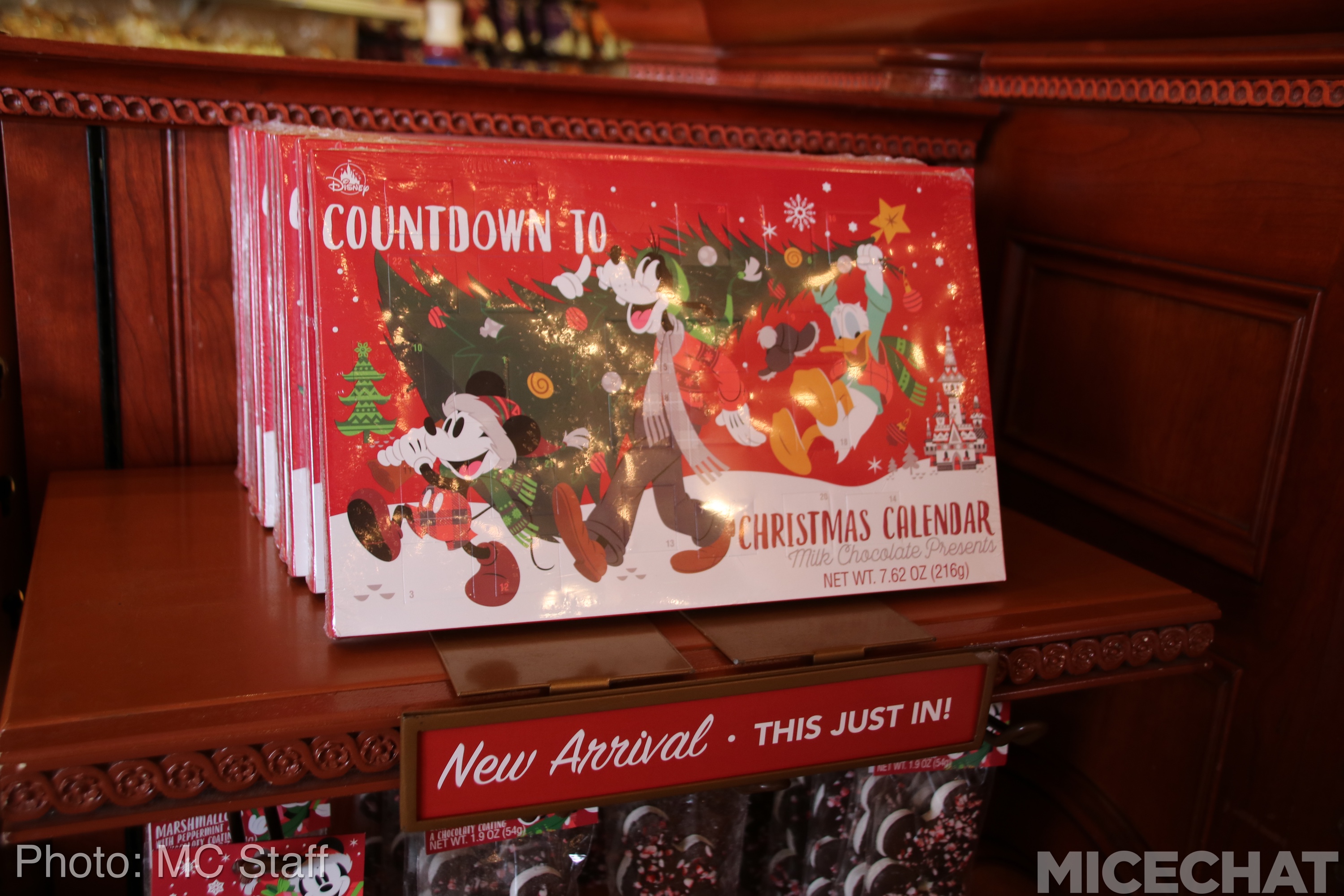 , Disneyland Resort Update: Christmas and Projects About to Unwrap