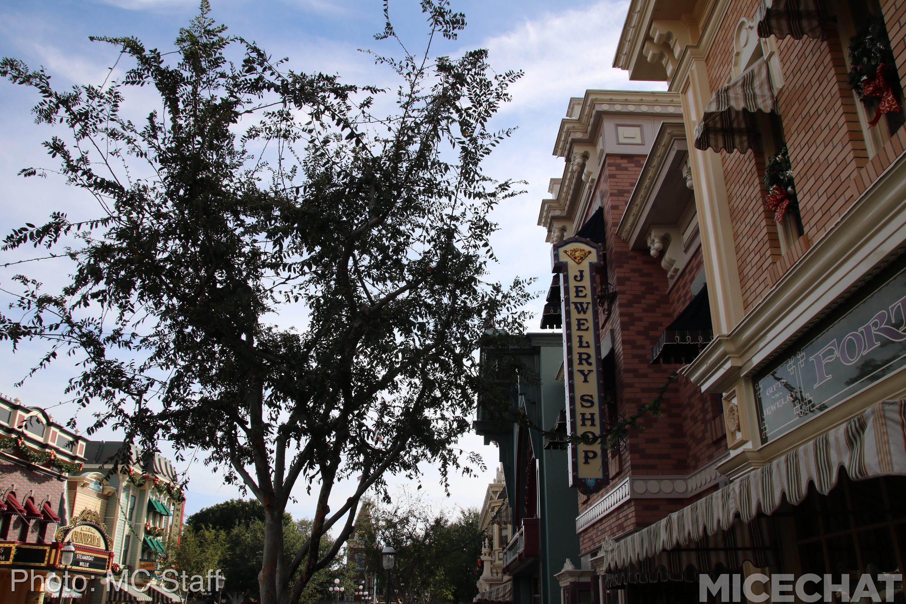 , Disneyland Resort Update: Christmas and Projects About to Unwrap