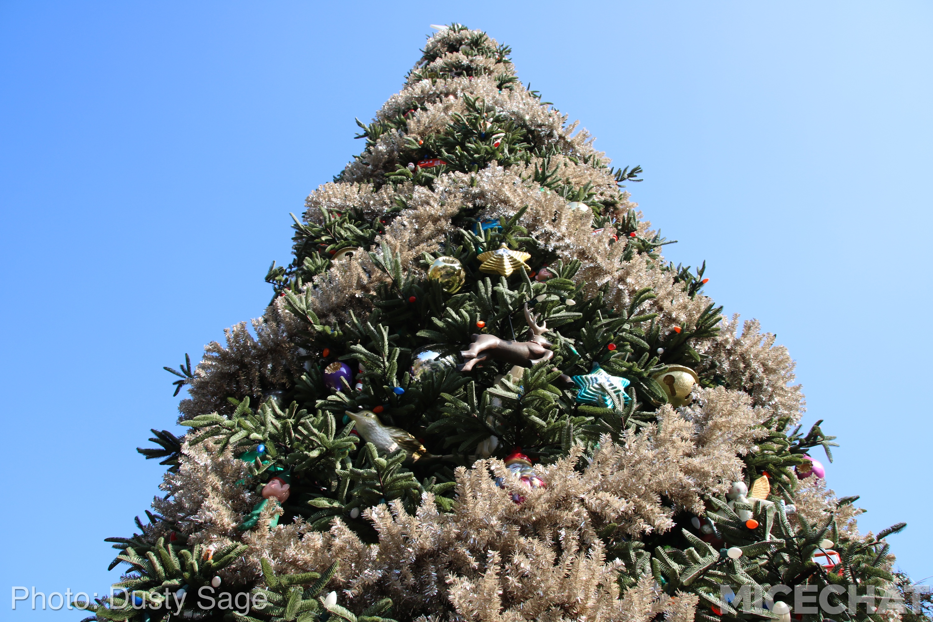 , Disneyland Resort Update – It’s Festival Time