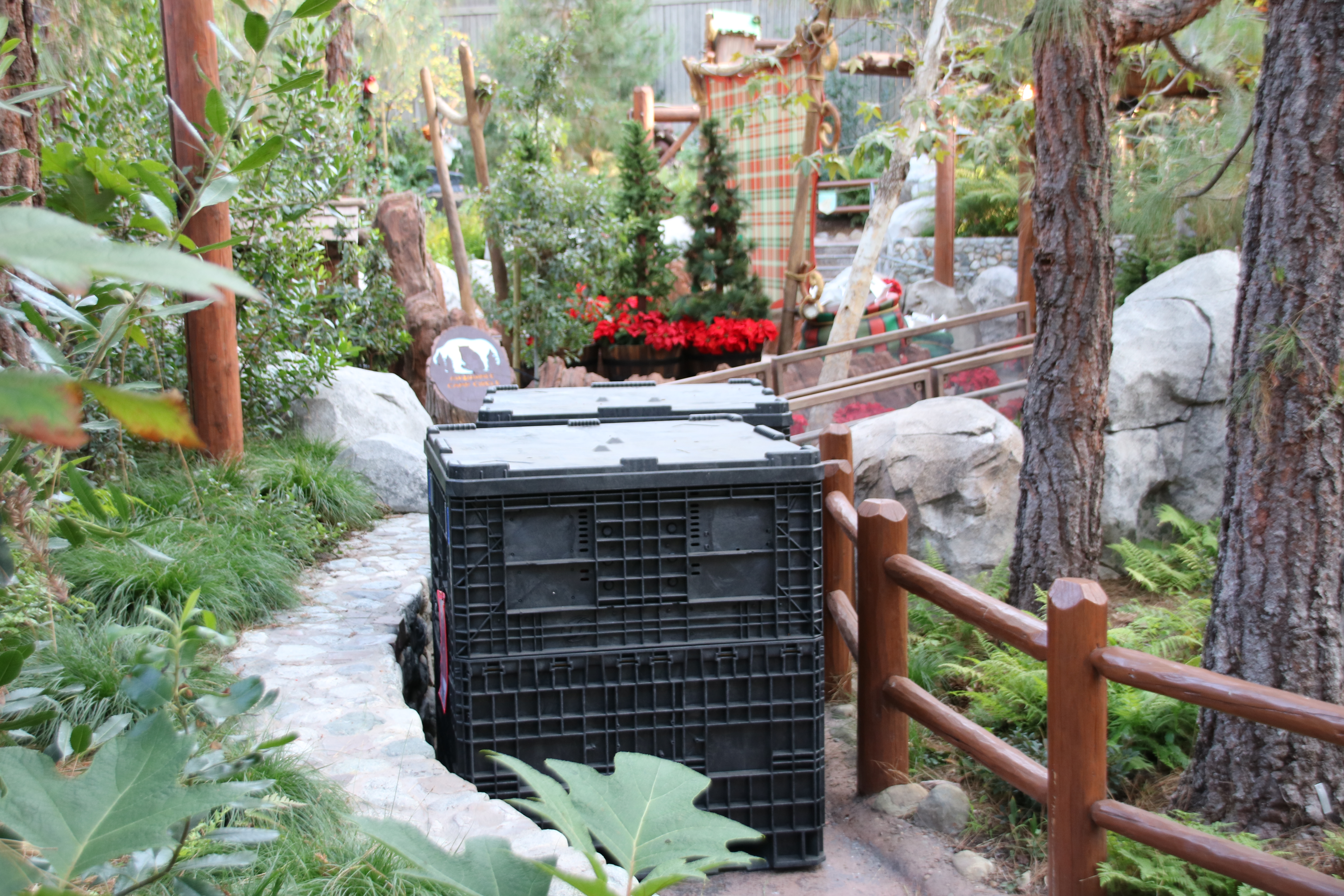 , Disneyland Resort Update – It’s Festival Time