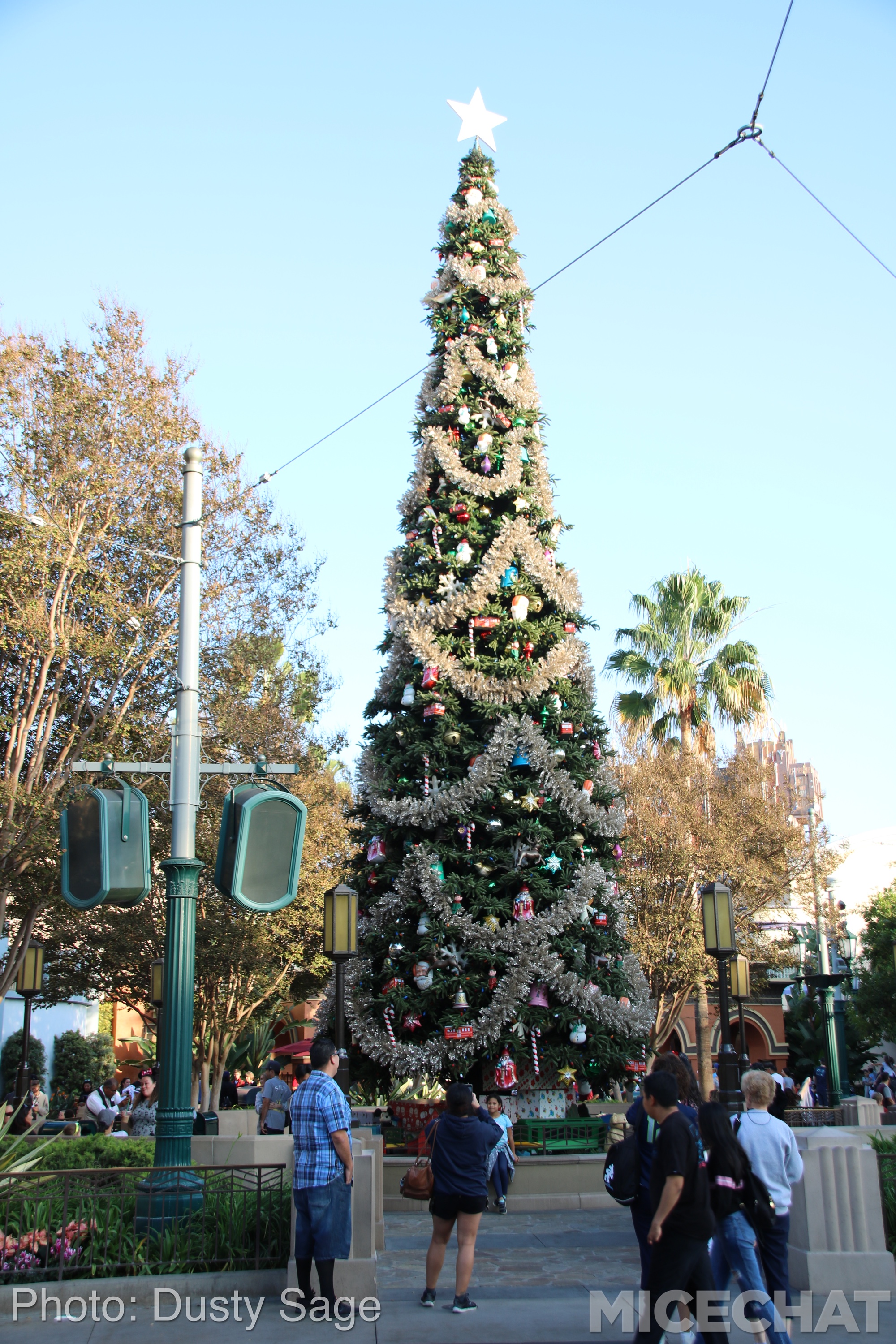 , Disneyland Resort Update – It’s Festival Time