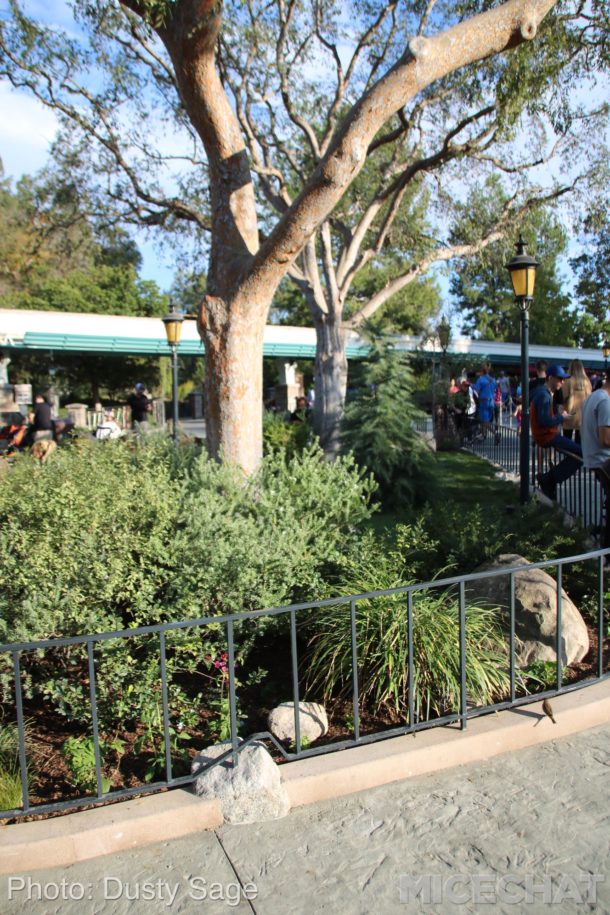 , Disneyland Update – Mickey at 90, Less Fireworks, World of Color Testing, and Matterhorn Returns