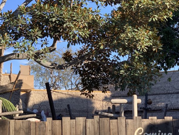 , Disneyland Update – Ralph Wrecks Christmas