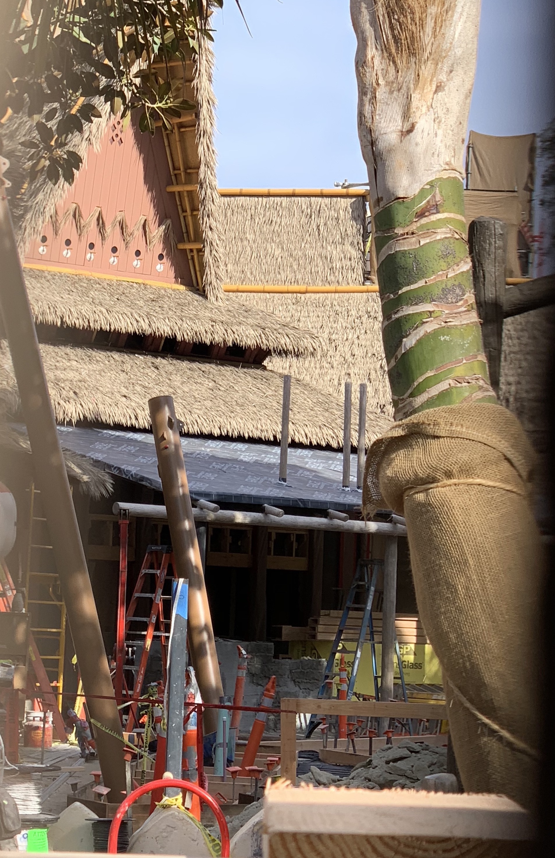 , Disneyland Resort Update: Christmas and Projects About to Unwrap