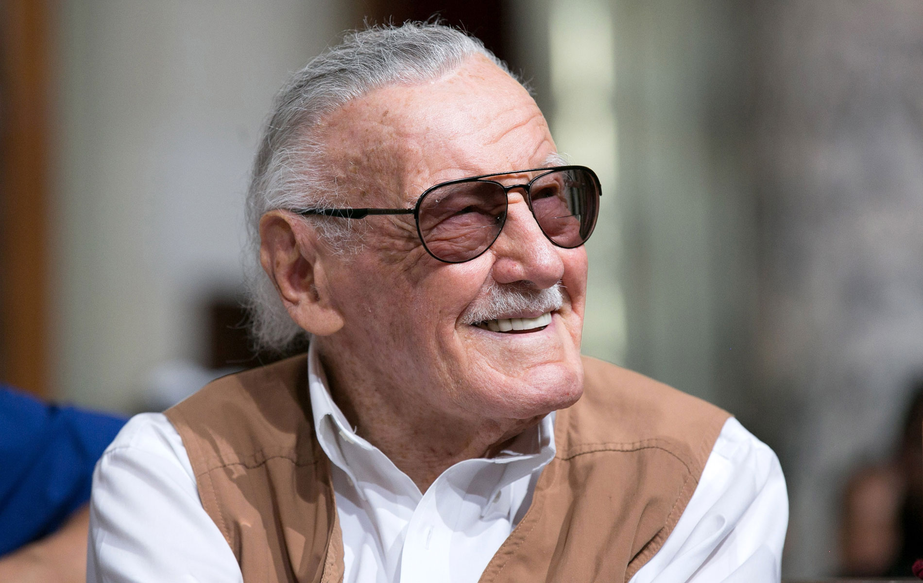 , Excelsior – Remembering Stan Lee
