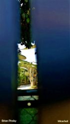 disneyland-Bugs-Land-Peek
