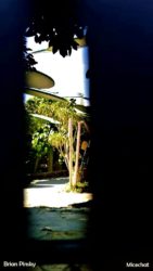 disneyland-Bugs-Land-Peek-2