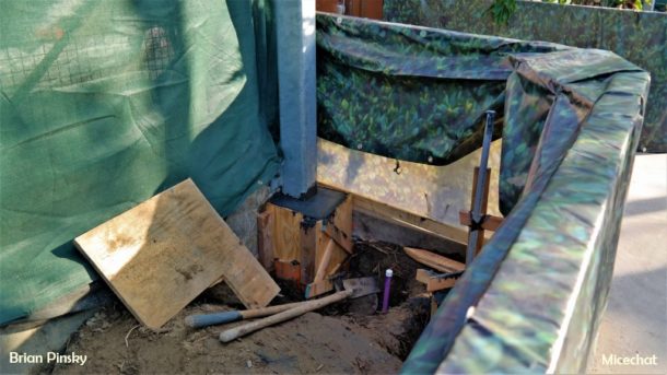 , Disneyland Resort Update: Treasures of the Tropical Hideaway
