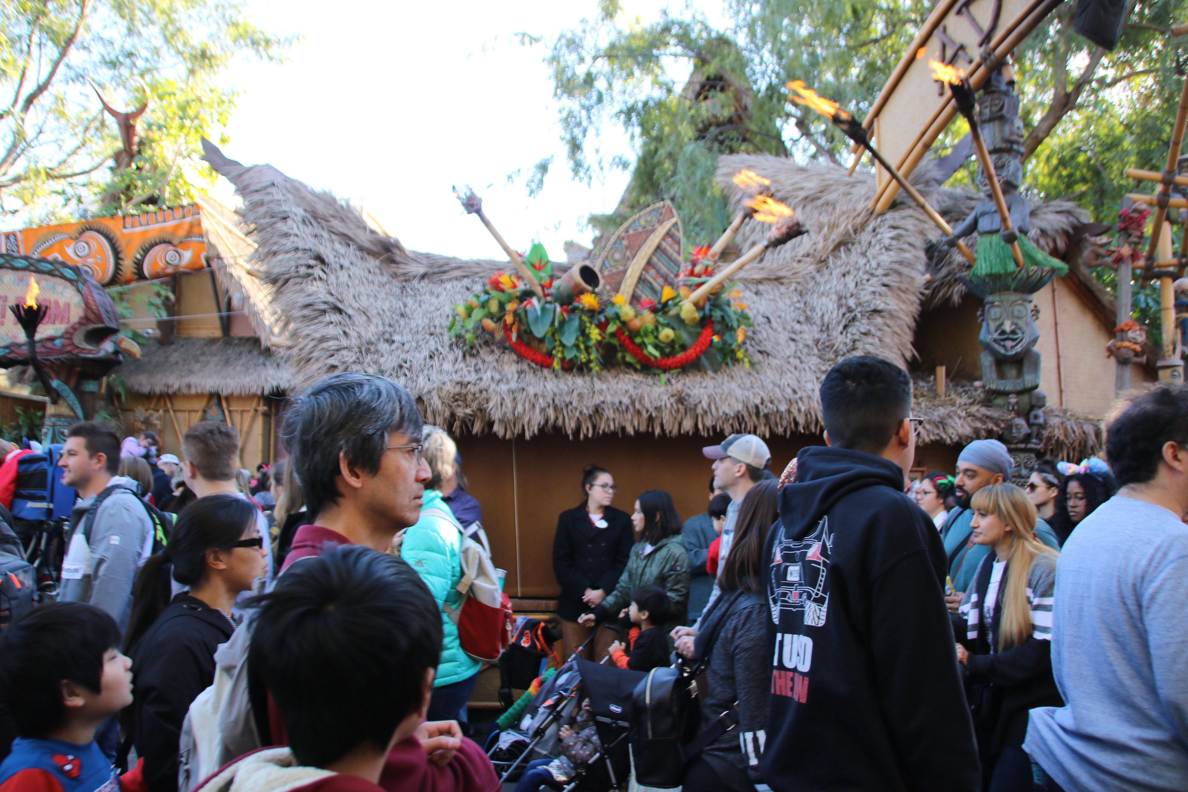 , Disneyland Update: Launching the new year with crowds crowds crowds