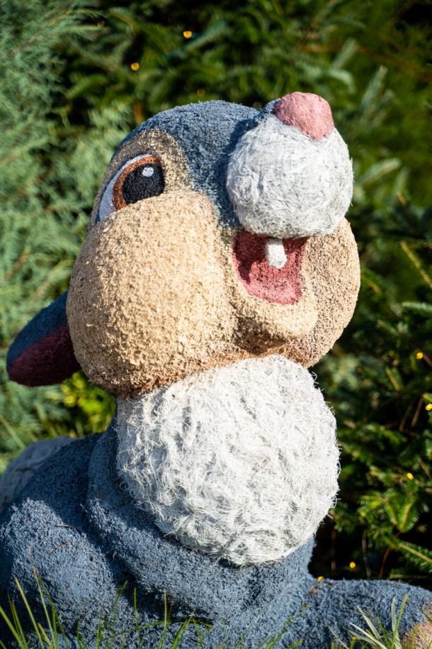, Dateline Disney World – Epcot and Hollywood Studios for the Holidays