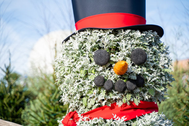 , Dateline Disney World – Epcot and Hollywood Studios for the Holidays