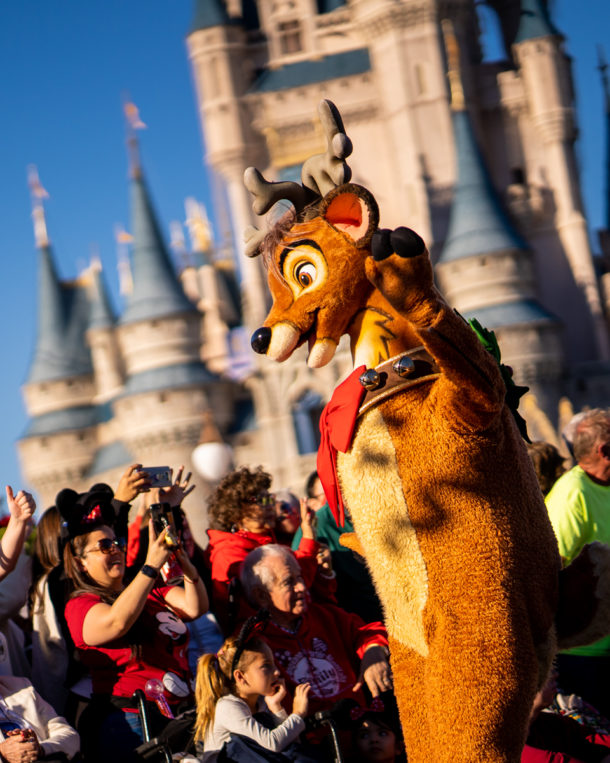, Dateline Disney World – Holiday Echo