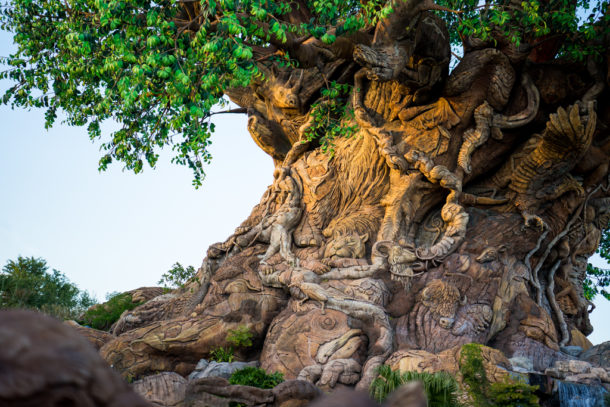 , Dateline Disney World – The Magic Forecast for 2019