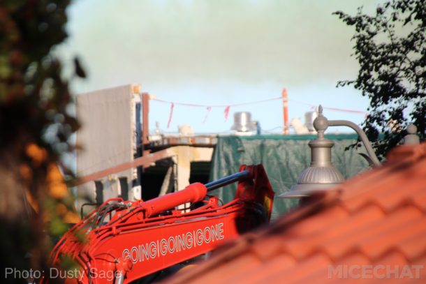 , Disneyland Update – Holiday Surprises