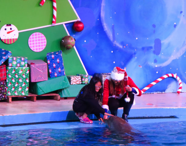 , S’more Fun at Six Flags Discovery Kingdom Holiday in the Park