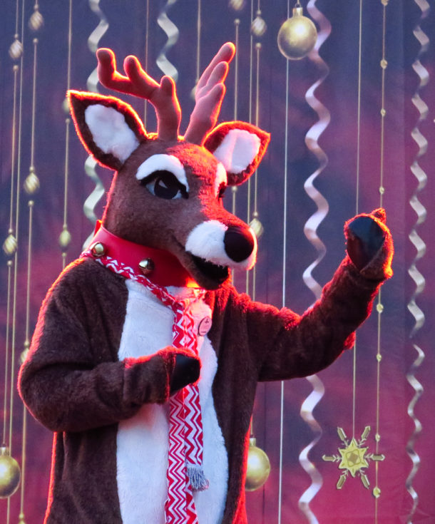 , S’more Fun at Six Flags Discovery Kingdom Holiday in the Park