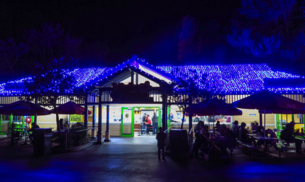 , S’more Fun at Six Flags Discovery Kingdom Holiday in the Park