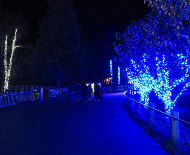 , S’more Fun at Six Flags Discovery Kingdom Holiday in the Park