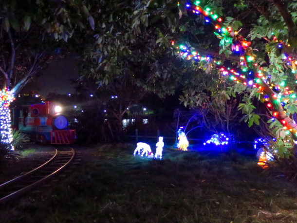 , S’more Fun at Six Flags Discovery Kingdom Holiday in the Park