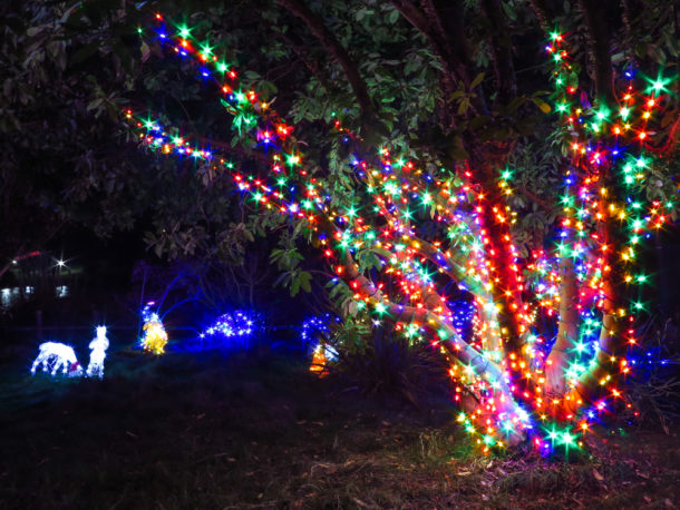 , S’more Fun at Six Flags Discovery Kingdom Holiday in the Park
