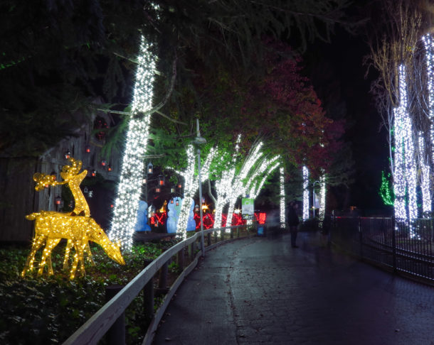 , S&#8217;more Fun at Six Flags Discovery Kingdom Holiday in the Park