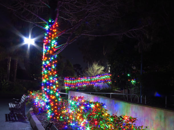 , S&#8217;more Fun at Six Flags Discovery Kingdom Holiday in the Park