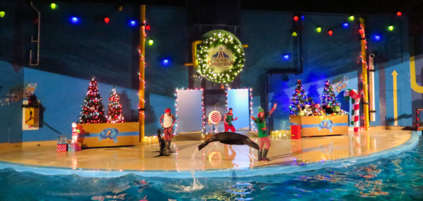 , S’more Fun at Six Flags Discovery Kingdom Holiday in the Park