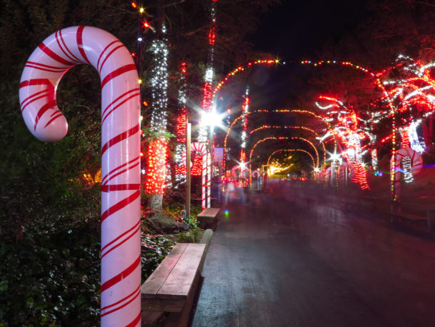 , S’more Fun at Six Flags Discovery Kingdom Holiday in the Park