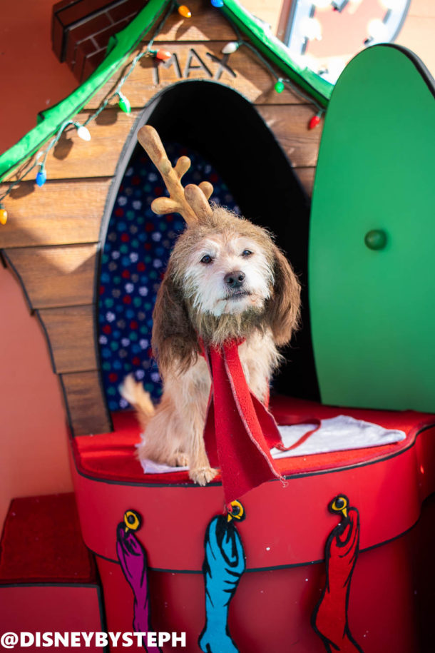 , It’s Grinchmas at Universal Hollywood & Amazing NYE Plans