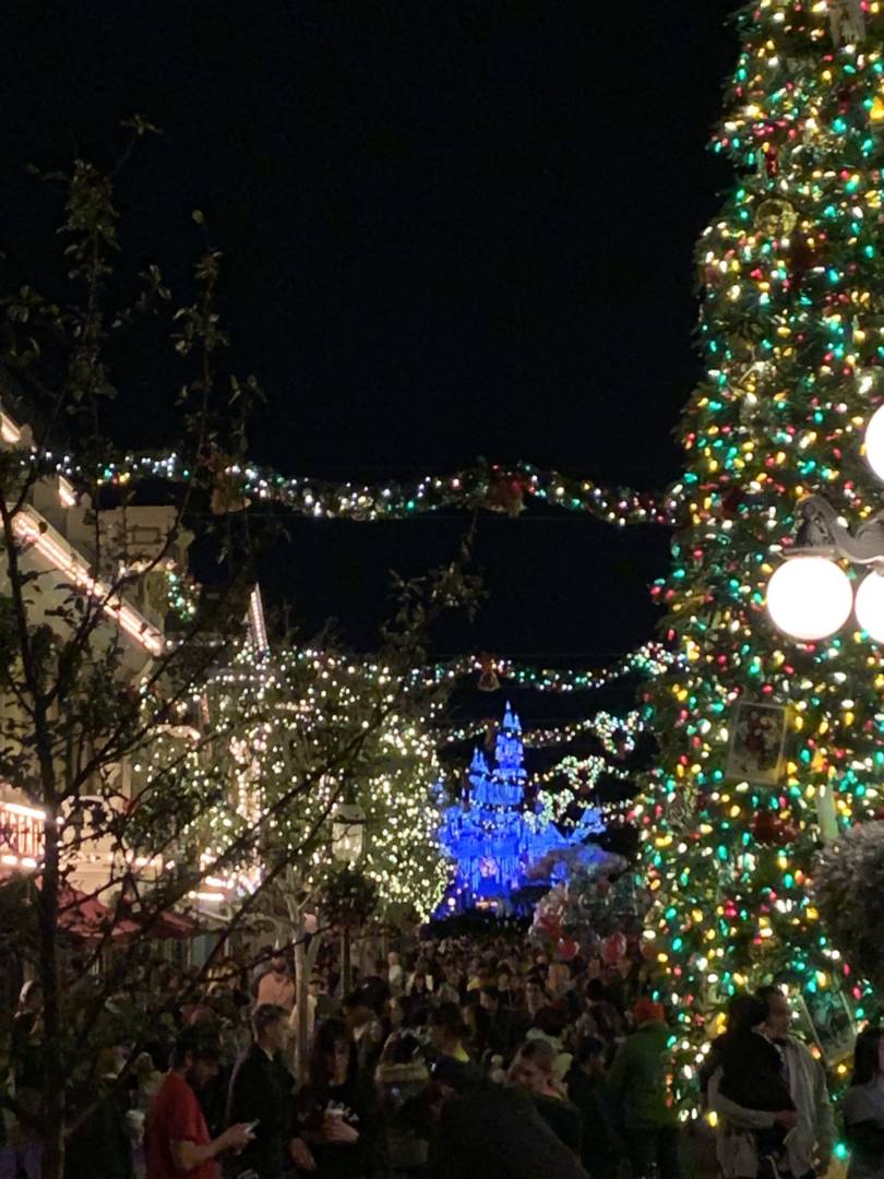 , Disneyland Resort Update – Rose Bowl Teams, Star Wars Details, and Christmas in the Parks