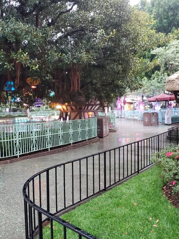 , Disneyland Update – Holiday Surprises