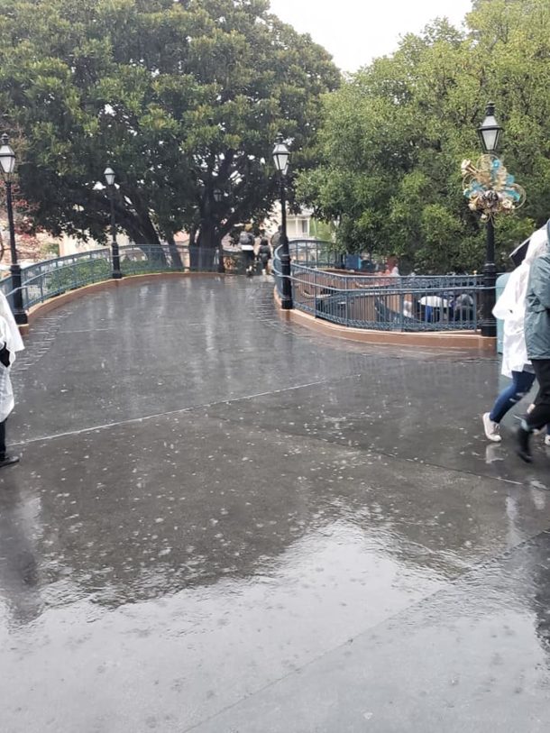 , Disneyland Update – Holiday Surprises